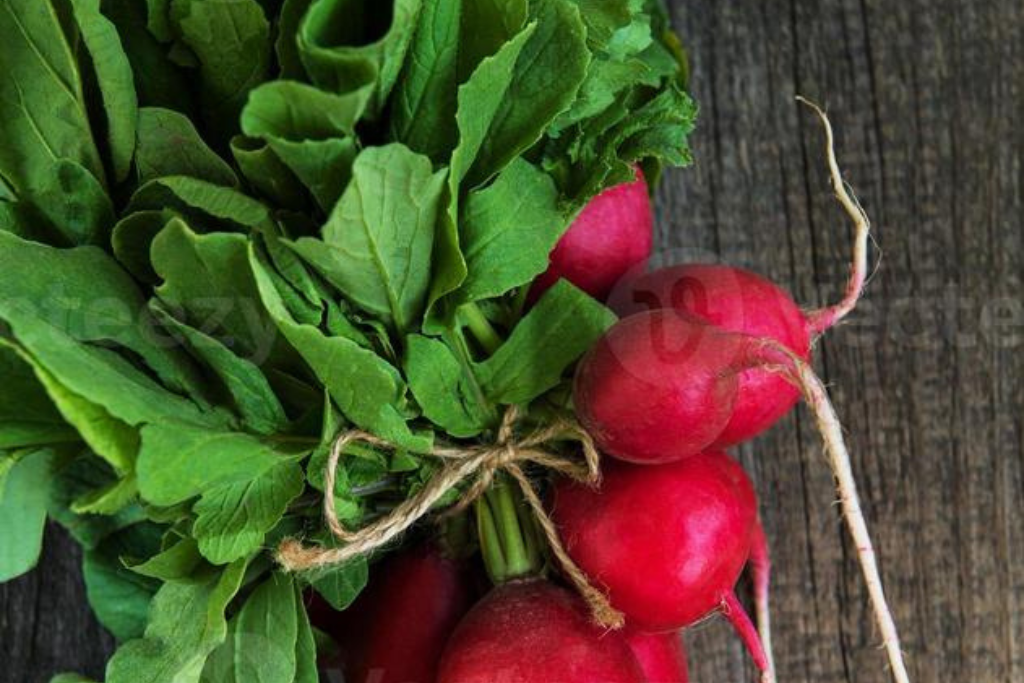 Radishes Health Benefits: Why Dietitians Recommend Adding Them to Your Diet Are Radishes Good for You? What Dietitians Have to Say About Their Health Advantages