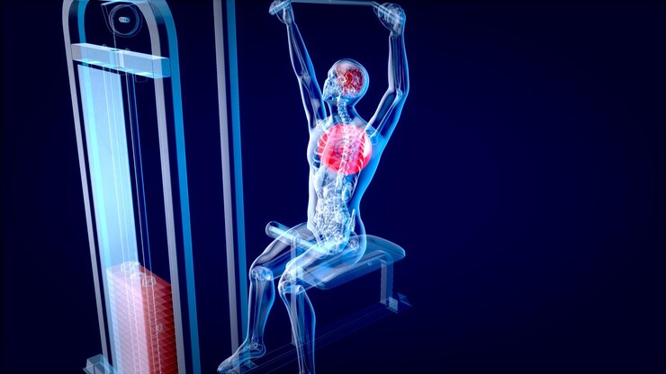 Science of Muscle Recovery