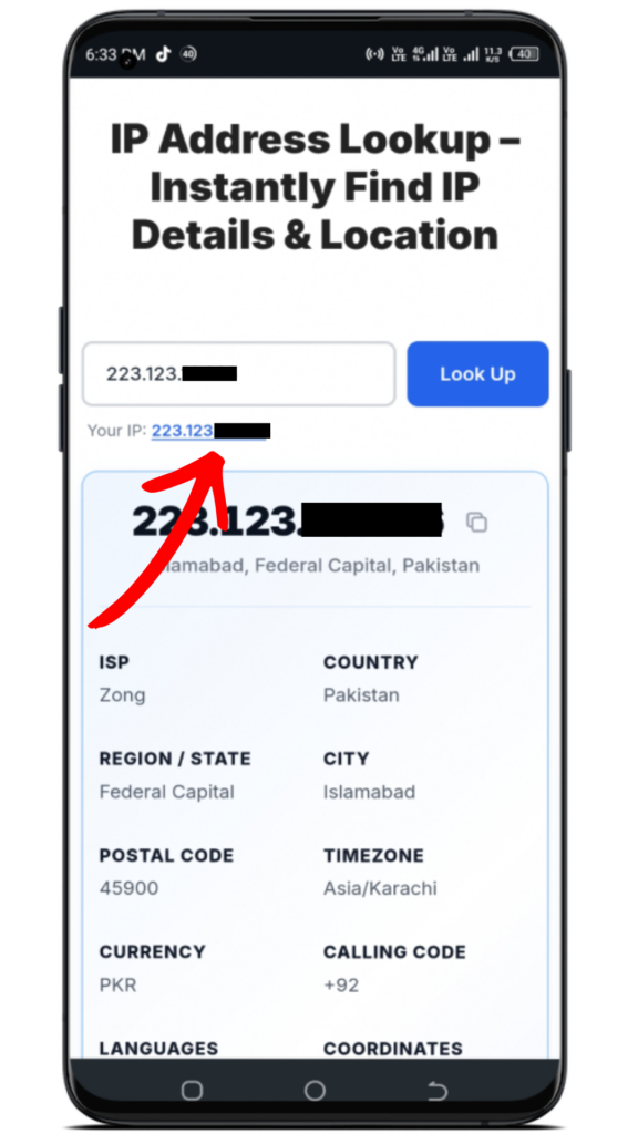 IP Address Lookup